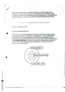 DELIMITACION CONCEPTUAL .pdf