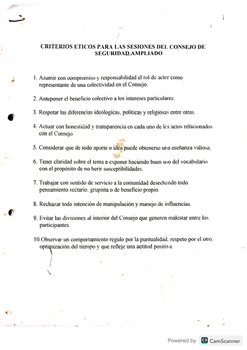CRITERIOS ETICOS PARA LAS SESIONES DEL CONSEJO DE SEGURIDAD AMPLIADO .pdf