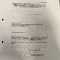 MARCO EXPLICATIVO DE LA CRIMINALIDAD EN EL DEPARTAMENTO DE RISARALDA – SUPUESTO PARA UN ENTENDIMIENTO DE LA CRIMINALIDAD INFANTIL Y JUVENIL EN EL DEPARTAMENTO DE RISARALDA, LAS RESPUESTAS IN.pdf