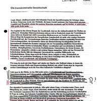 Die transkriminelle Gesellschaft.pdf